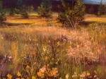 Louka u Filipovy Huti, 70 x 50 cm, pastel